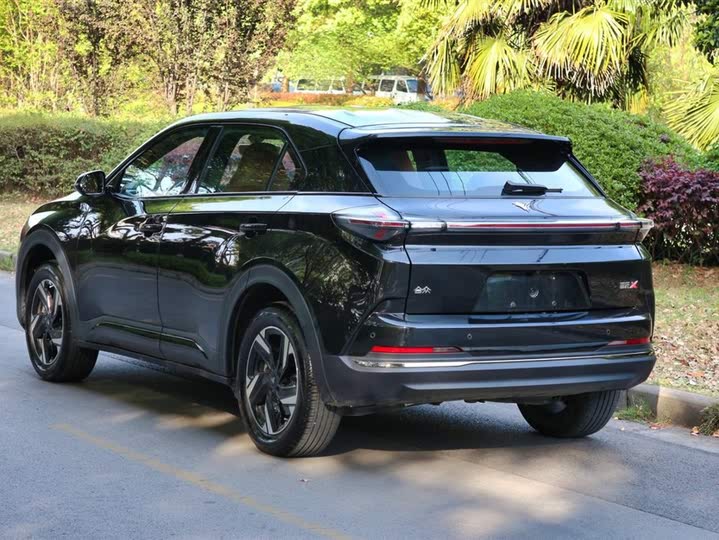 Hozon X 2024 2024款 500 先行版