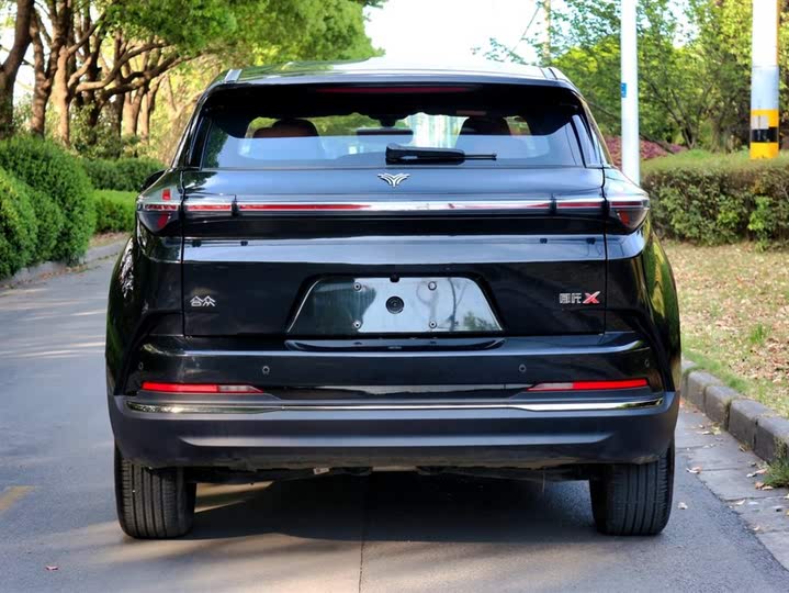 Hozon X 2024 2024款 500 先行版