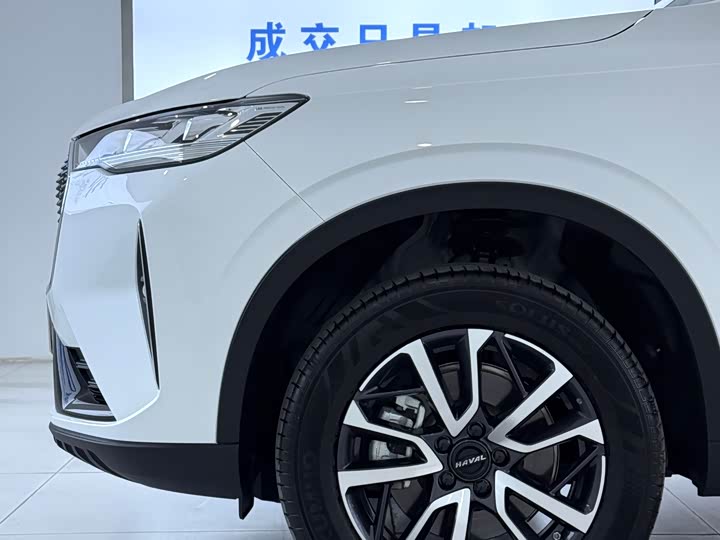 Haval H6 2024 2024款 1.5T 两驱Max