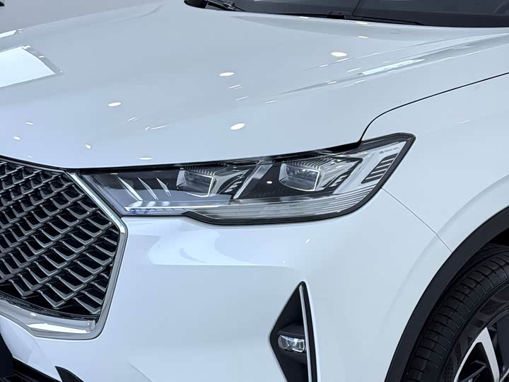 Haval H6 2024 2024款 1.5T 两驱Max