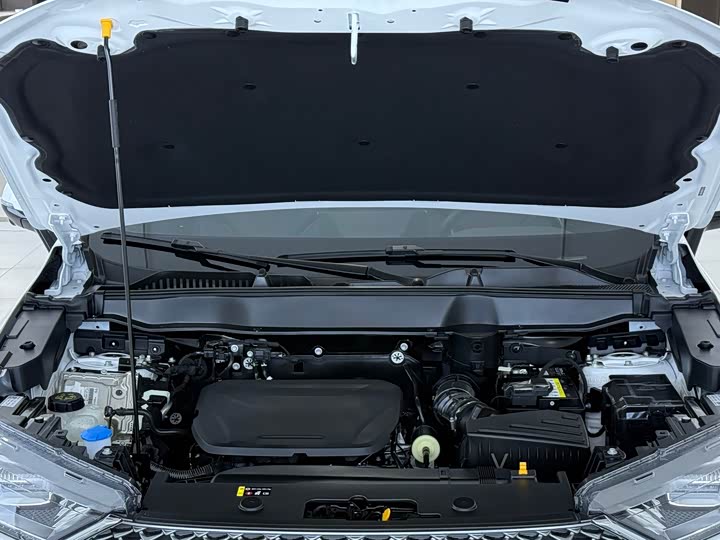 Haval H6 2024 2024款 1.5T 两驱Max