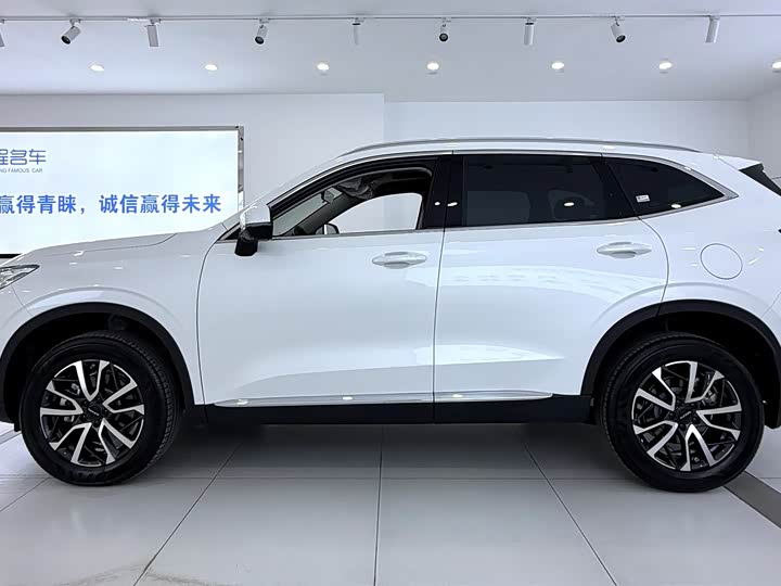 Haval H6 2024 2024款 1.5T 两驱Max