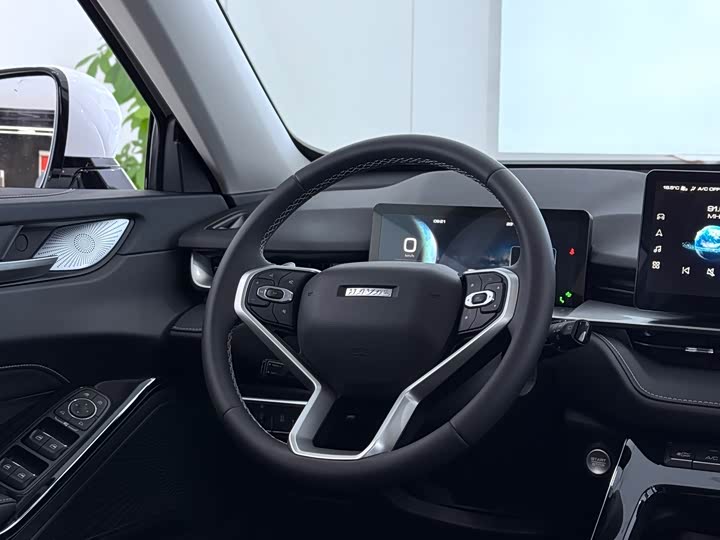 Haval H6 2024 2024款 1.5T 两驱Max