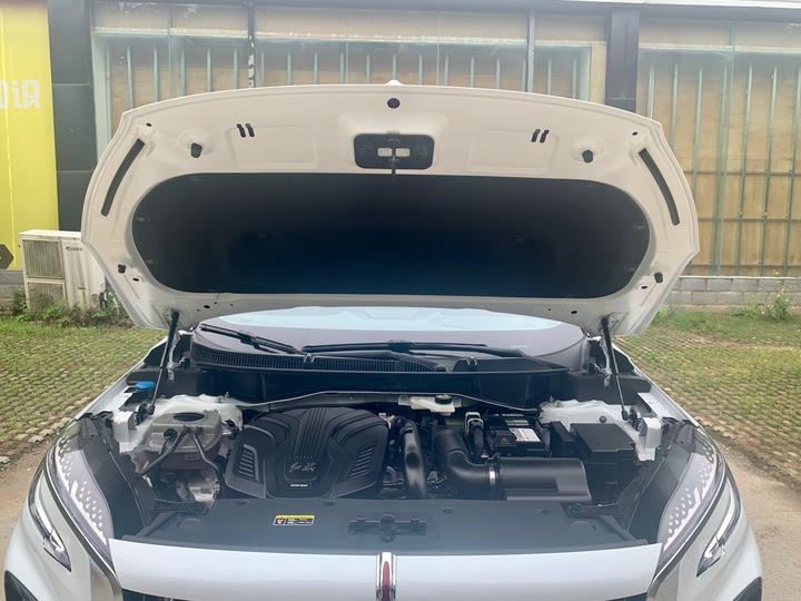 Hongqi HS3 2023 2023款 2.0T 四驱有为版