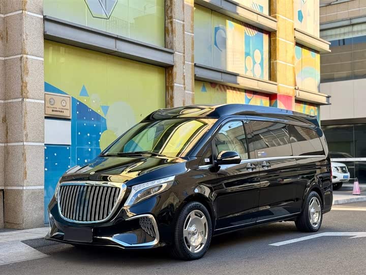 Mercedes-Benz V-Class 2021 2021款 V 260 L 长轴距豪华版