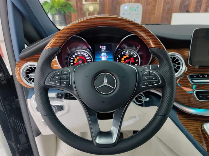 Mercedes-Benz V-Class 2021 2021款 V 260 L 长轴距豪华版
