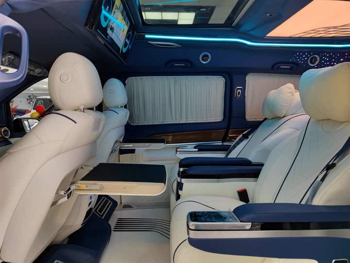 Mercedes-Benz V-Class 2021 2021款 V 260 L 长轴距豪华版