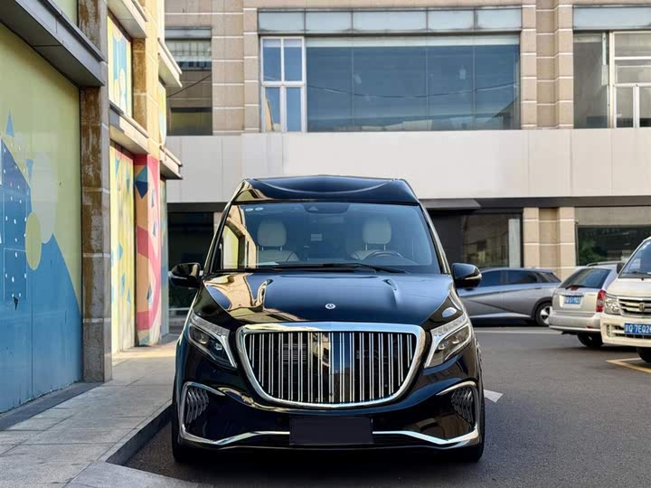 Mercedes-Benz V-Class 2021 2021款 V 260 L 长轴距豪华版