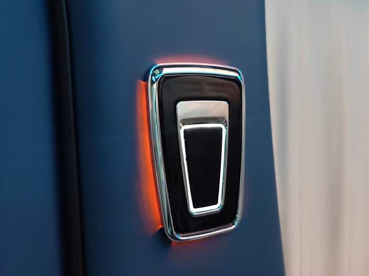 Mercedes-Benz V-Class 2021 2021款 V 260 L 长轴距豪华版