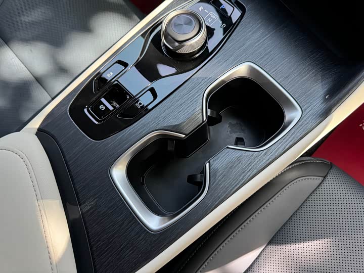 Lexus RZ 2023 2023款 450e 四驱纵享版