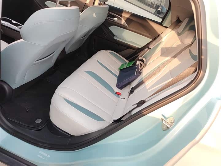 Geely Geometry E Firefly 2024 2024款 301km 星光