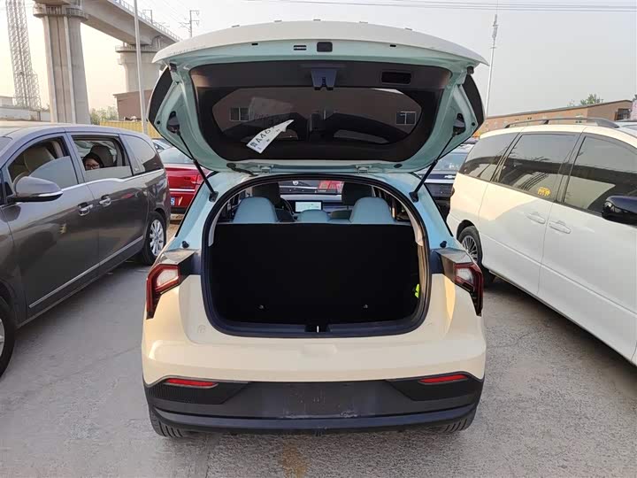 Geely Geometry E Firefly 2024 2024款 301km 星光