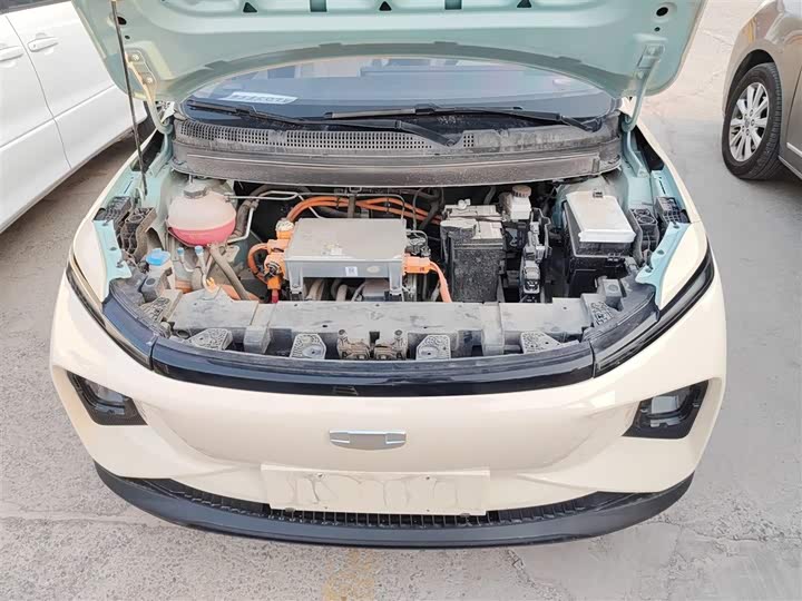 Geely Geometry E Firefly 2024 2024款 301km 星光