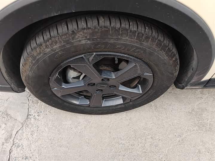 Geely Geometry E Firefly 2024 2024款 301km 星光