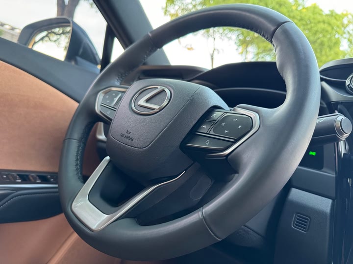 Lexus RZ 2023 2023款 450e 四驱纵领版