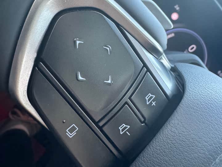 Lexus RZ 2023 2023款 450e 四驱纵领版