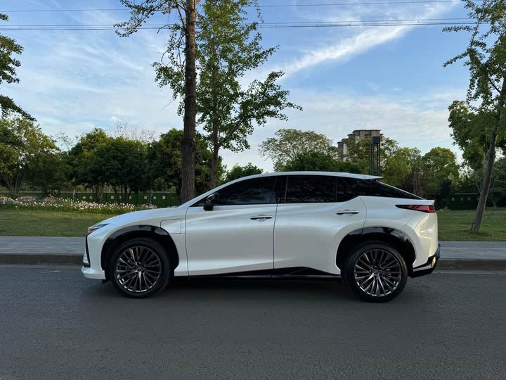 Lexus RZ 2023 2023款 450e 四驱纵领版