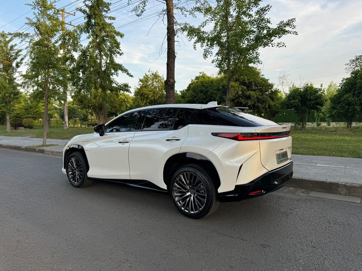 Lexus RZ 2023 2023款 450e 四驱纵领版