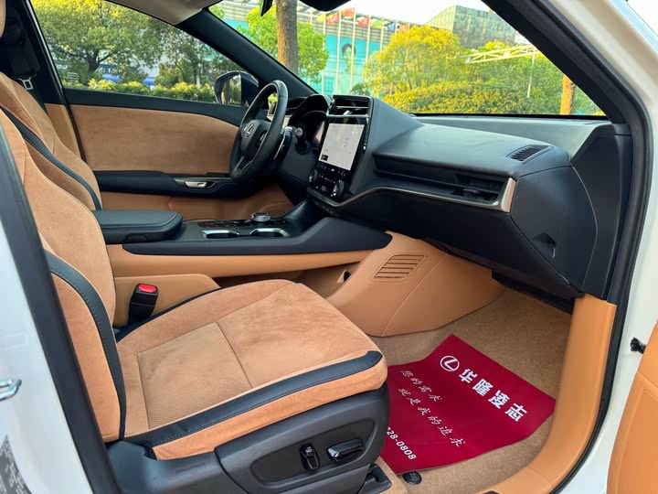 Lexus RZ 2023 2023款 450e 四驱纵领版