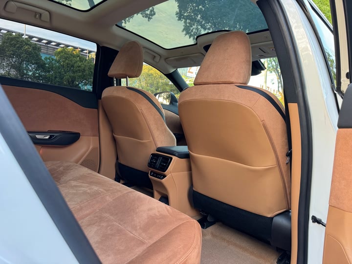 Lexus RZ 2023 2023款 450e 四驱纵领版