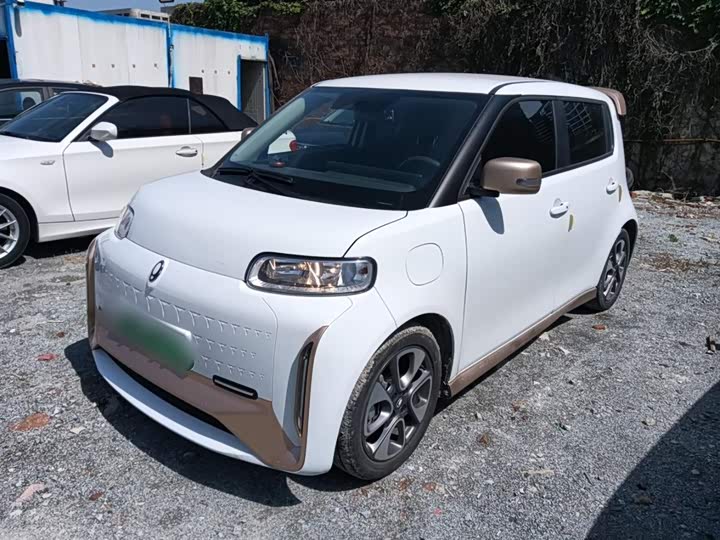 Ora White Cat 2022 2022款 小野猫版 360km 豪华型 三元锂