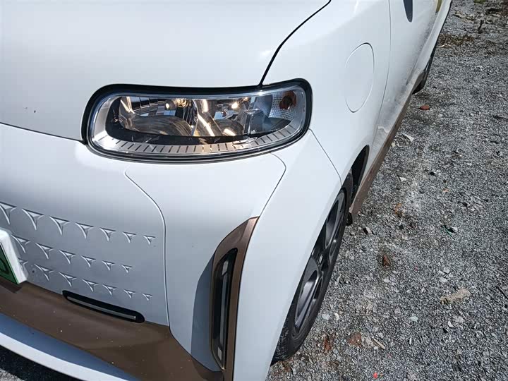 Ora White Cat 2022 2022款 小野猫版 360km 豪华型 三元锂