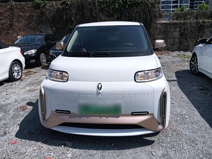 Ora White Cat 2022 2022款 小野猫版 360km 豪华型 三元锂