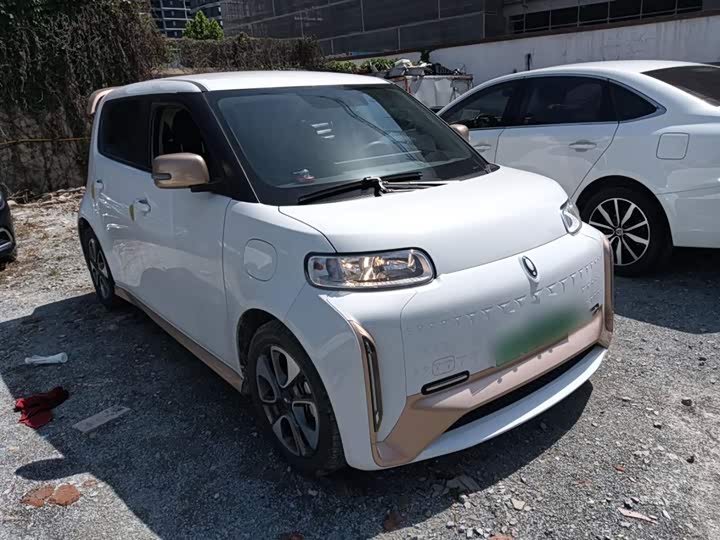 Ora White Cat 2022 2022款 小野猫版 360km 豪华型 三元锂