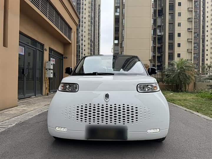 Ora White Cat 2020 2020款 401km 长续航型