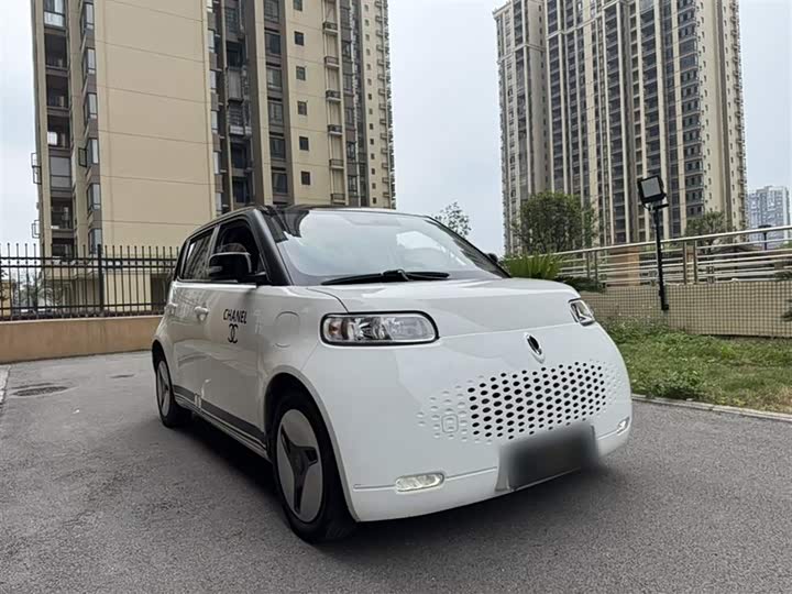 Ora White Cat 2020 2020款 401km 长续航型