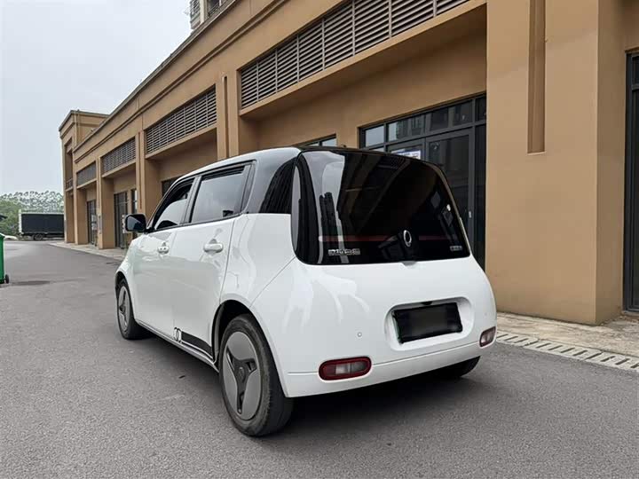 Ora White Cat 2020 2020款 401km 长续航型