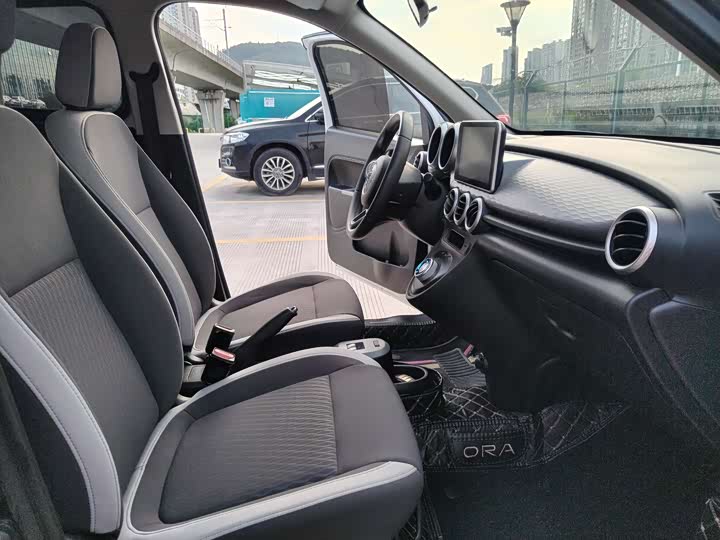 Ora Black Cat 2022 2022款 301km 基础型 三元锂