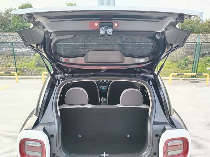 Ora Black Cat 2022 2022款 301km 基础型 三元锂