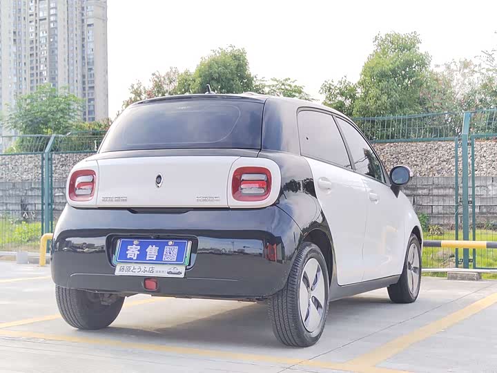 Ora Black Cat 2022 2022款 301km 基础型 三元锂