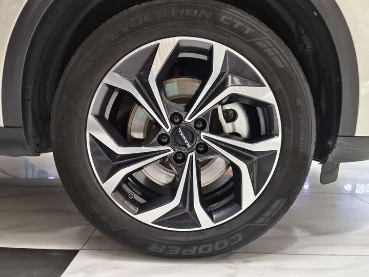 Haval Ruge Max 2023 2023款 1.5L Hi4 105 四驱领航版