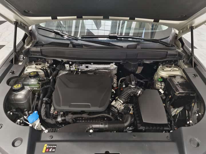 Haval Ruge Max 2023 2023款 1.5L Hi4 105 四驱领航版