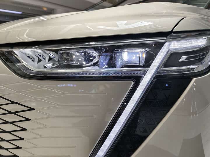 Haval Ruge Max 2023 2023款 1.5L Hi4 105 四驱领航版