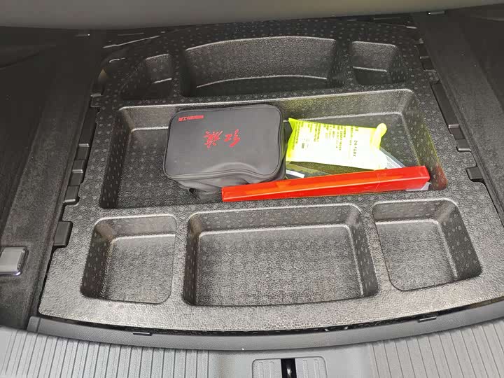 Hongqi H9 2024 2024款 2.0T 旗畅 私享风尚版