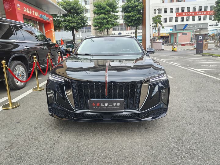 Hongqi H9 2024 2024款 2.0T 旗畅 私享风尚版