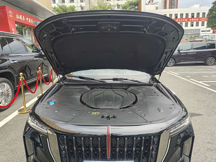 Hongqi H9 2024 2024款 2.0T 旗畅 私享风尚版