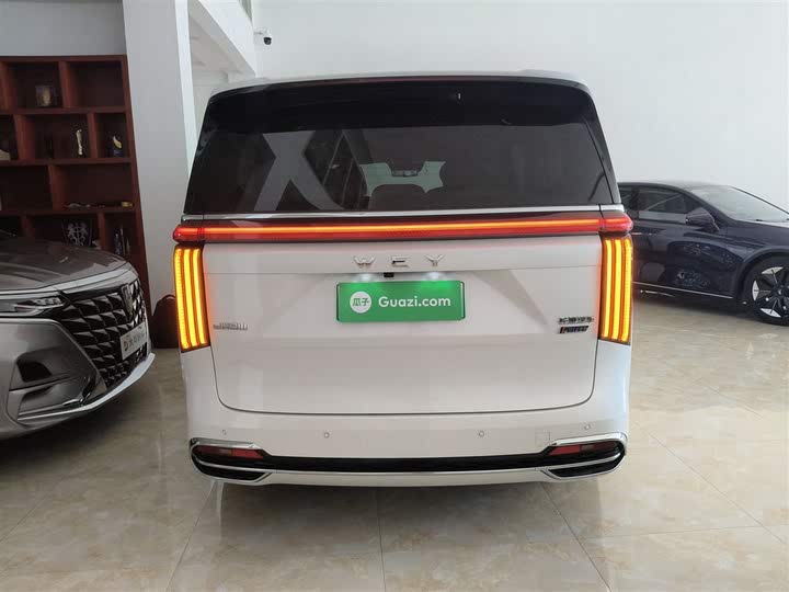 Wey Gaoshan 2023 2023款 四驱旗舰版