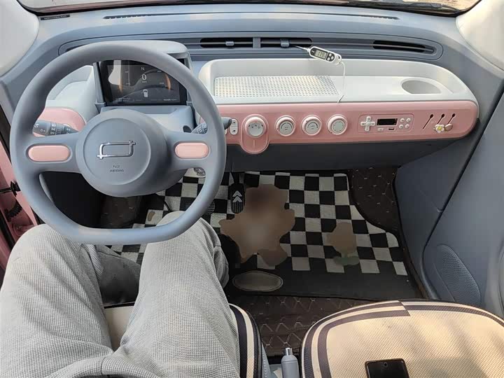 Bestune Pony 2025 2025款 222km 灵动马