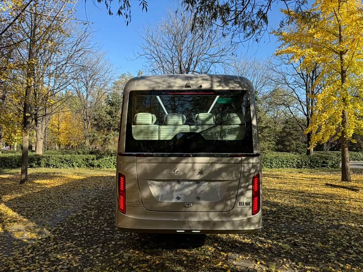 Hongqi Guoyue 2024 2024款 3.0T 旗舰版 17座