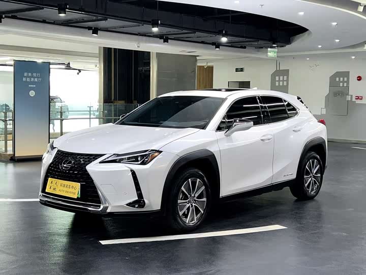 Lexus UX Hybrid 2020 2020款 300e 纯·享版
