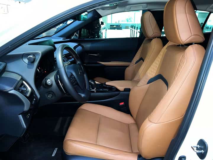 Lexus UX Hybrid 2020 2020款 300e 纯·享版