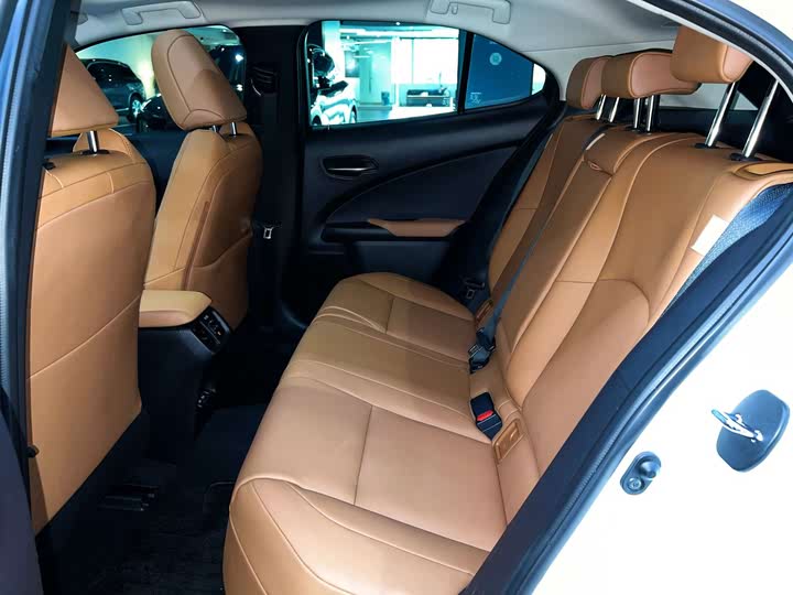 Lexus UX Hybrid 2020 2020款 300e 纯·享版