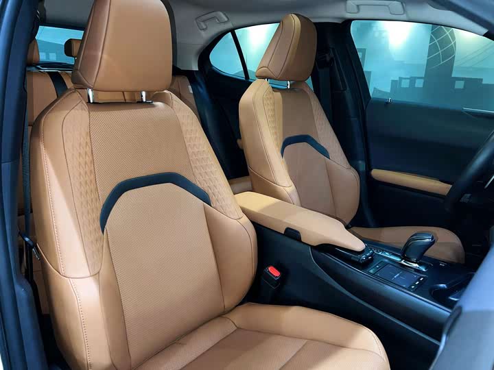 Lexus UX Hybrid 2020 2020款 300e 纯·享版