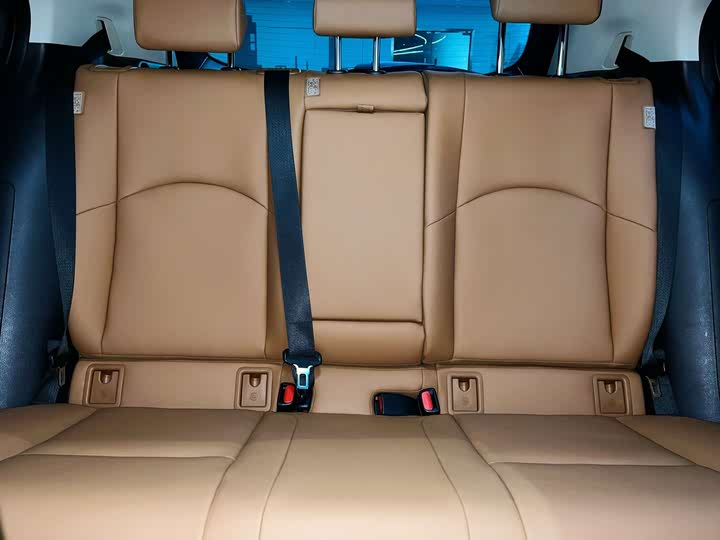 Lexus UX Hybrid 2020 2020款 300e 纯·享版