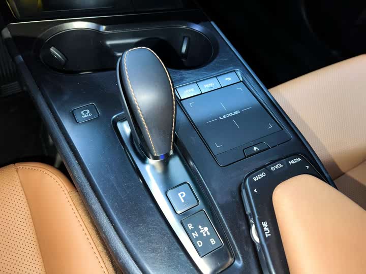 Lexus UX Hybrid 2020 2020款 300e 纯·享版