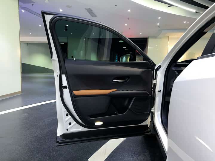 Lexus UX Hybrid 2020 2020款 300e 纯·享版